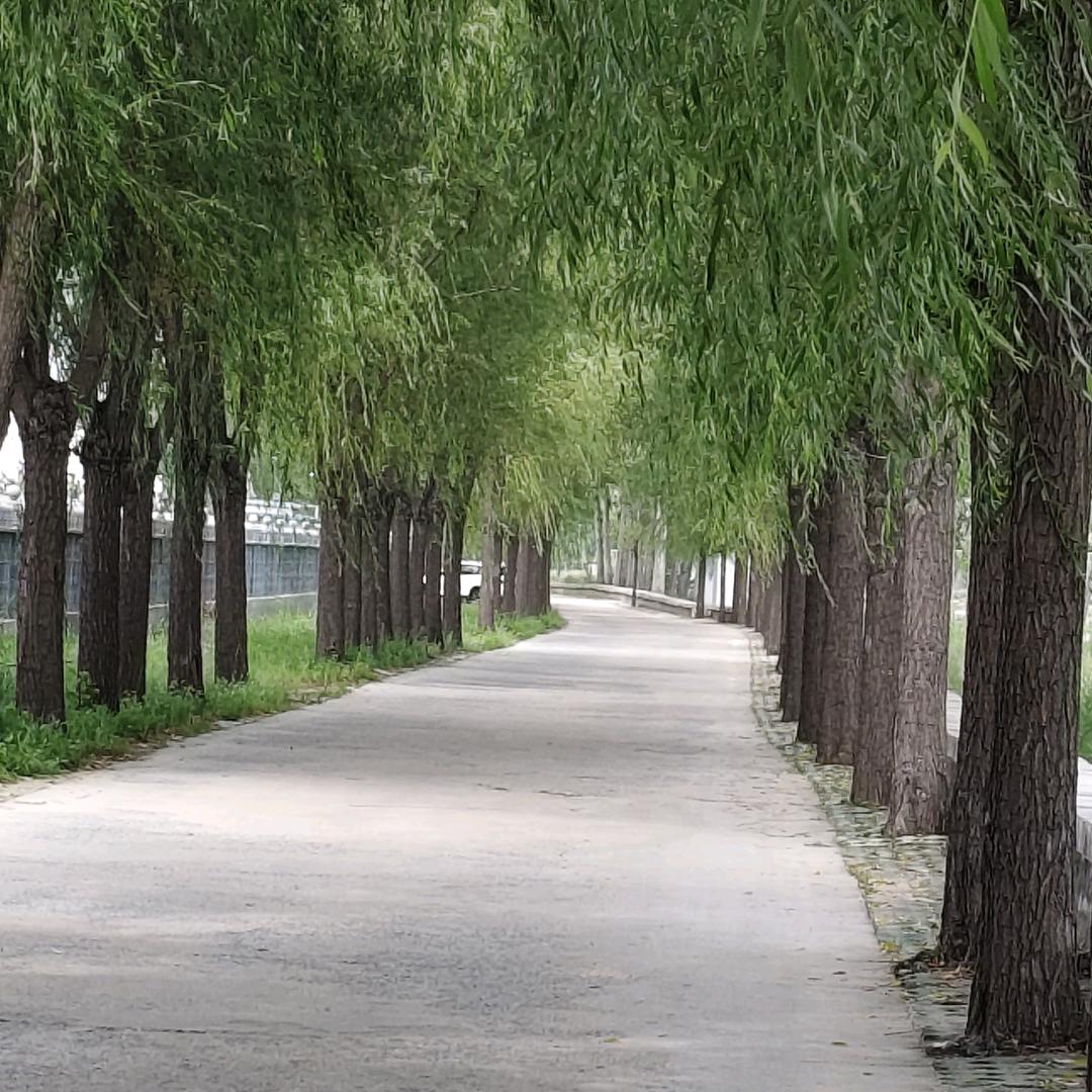 一路向阳