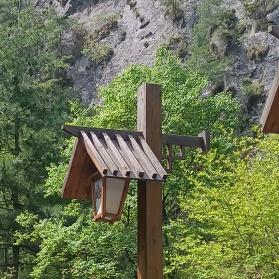 天山