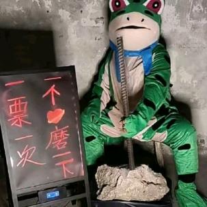 贵人鸽
