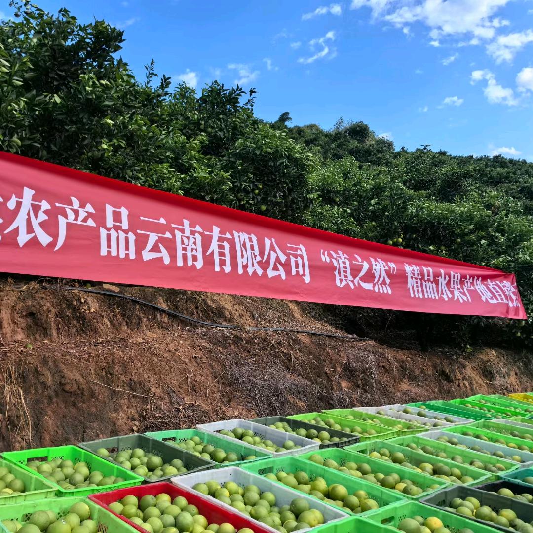 滇之然农产品云南有限公司