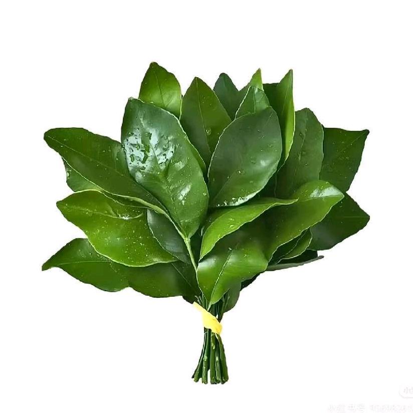 小宜好想喝奶茶