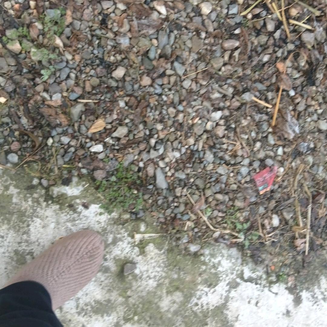 重头在来