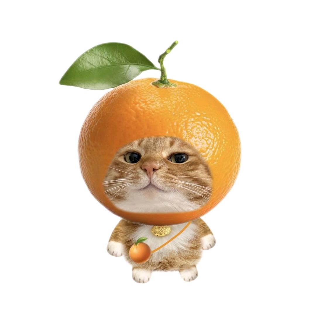 橘子(ง＾▽＾)ง🍊