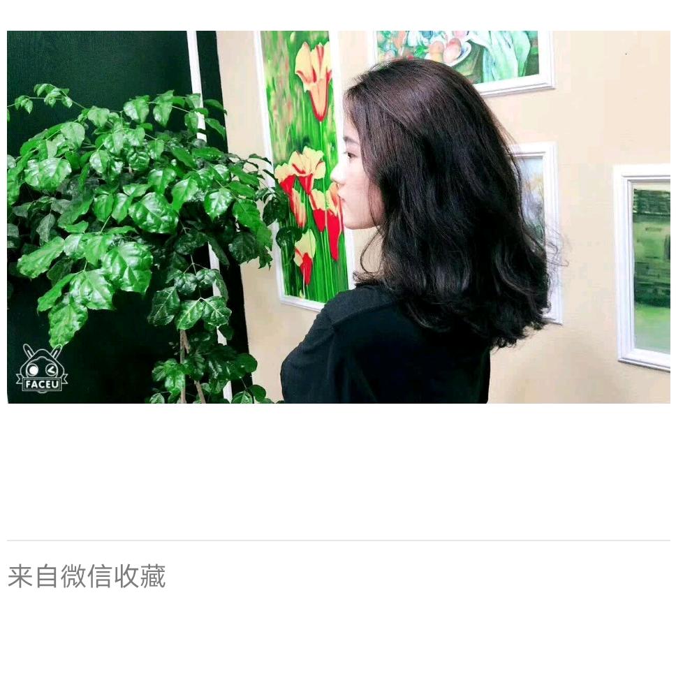 梦与春天