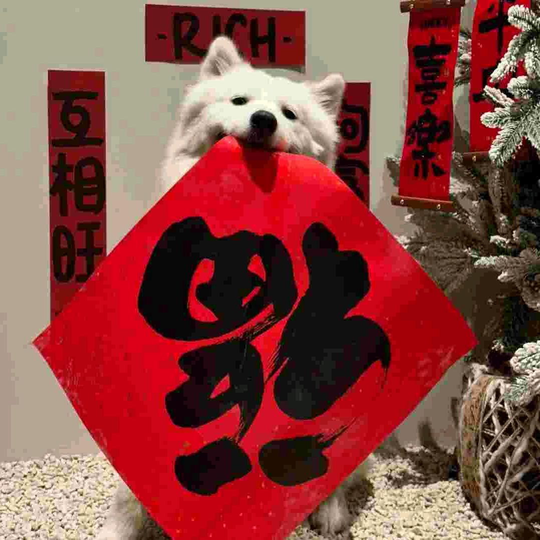 酣睡小熊.