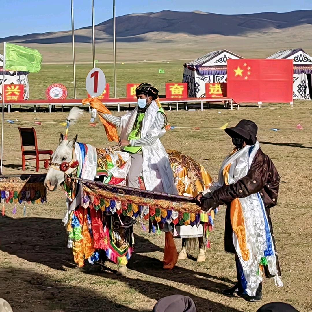 哥的烟你抽不起🕸️