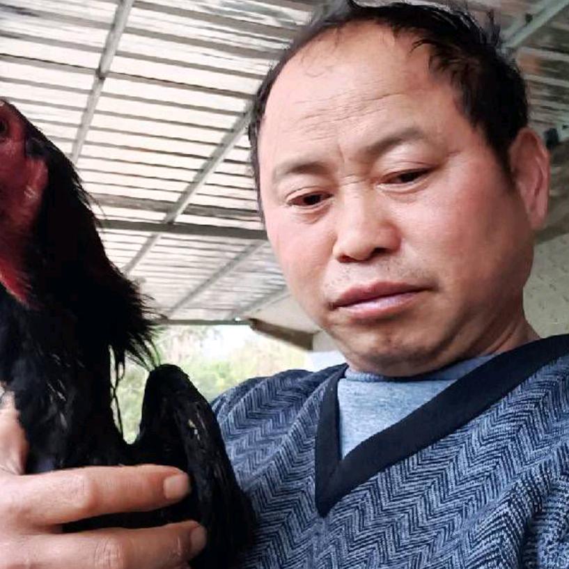 真心哥