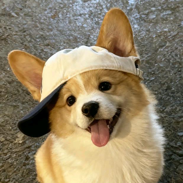哈包格