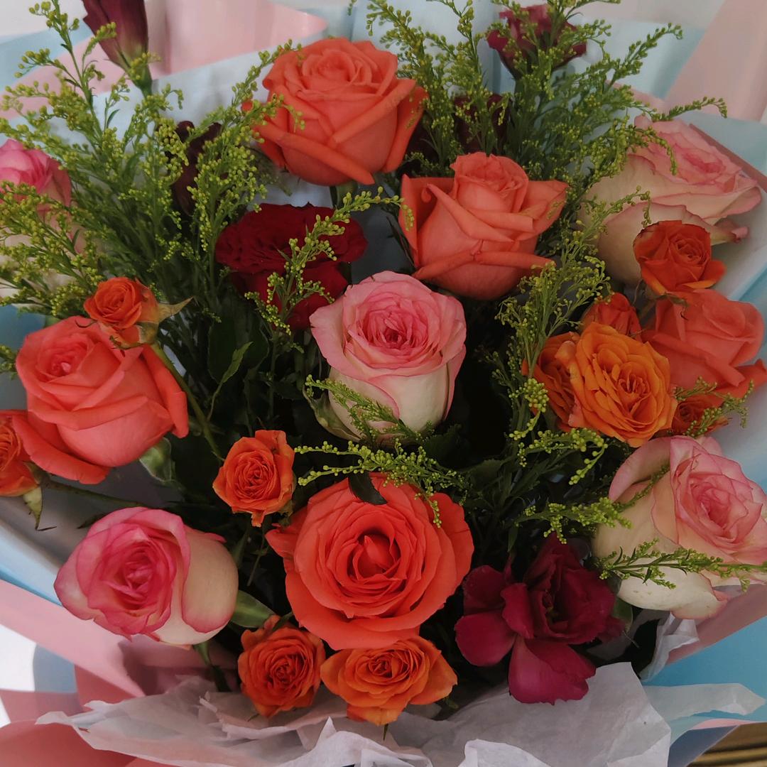 风吹雨打都不怕