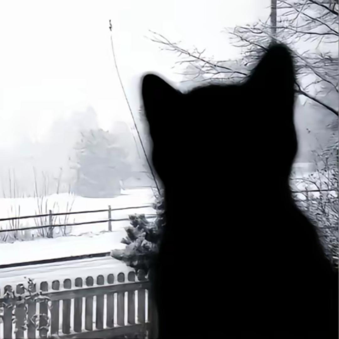 探险