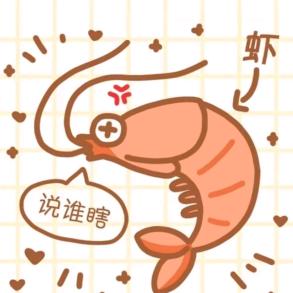 一只鱿鱼