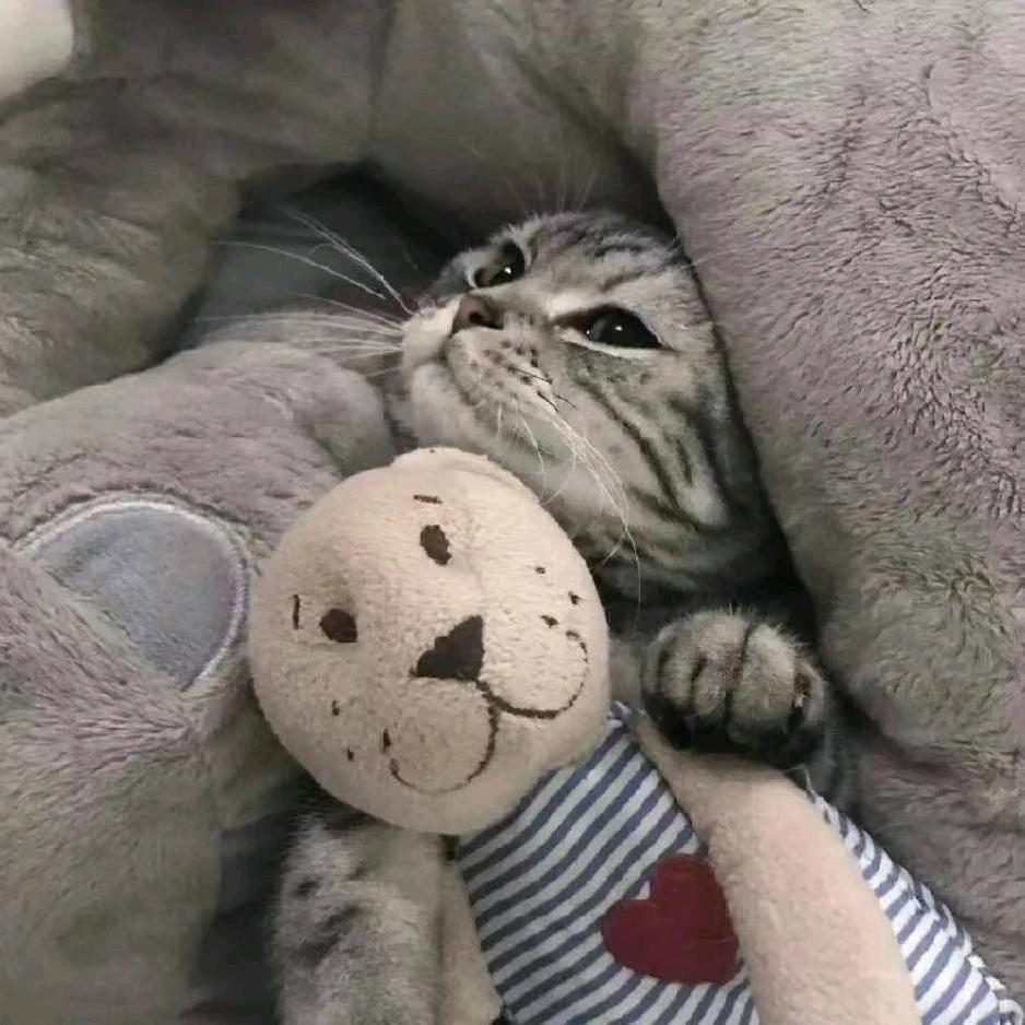 我爱你中国🇨🇳