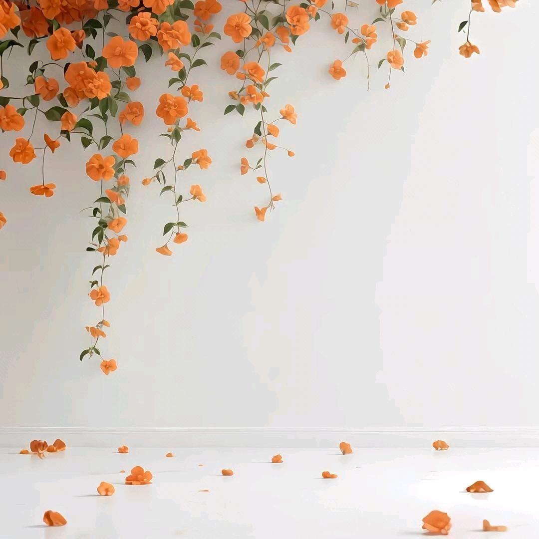 一缕清风来
