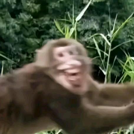 ☘︎ ݁˖꙳ 花束般的恋爱脑☘︎ ݁˖꙳