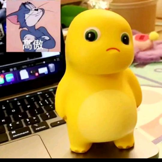 星月出去找模子在路边捡的没票臭宝陪档✨