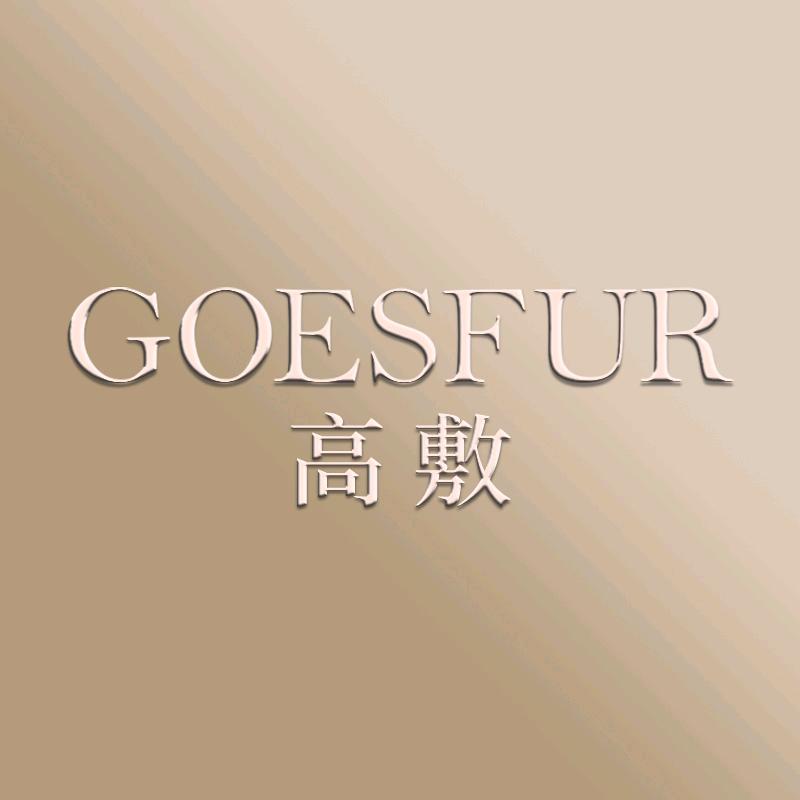 高敷直播间