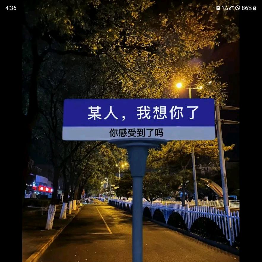 樂爸.转身退抖