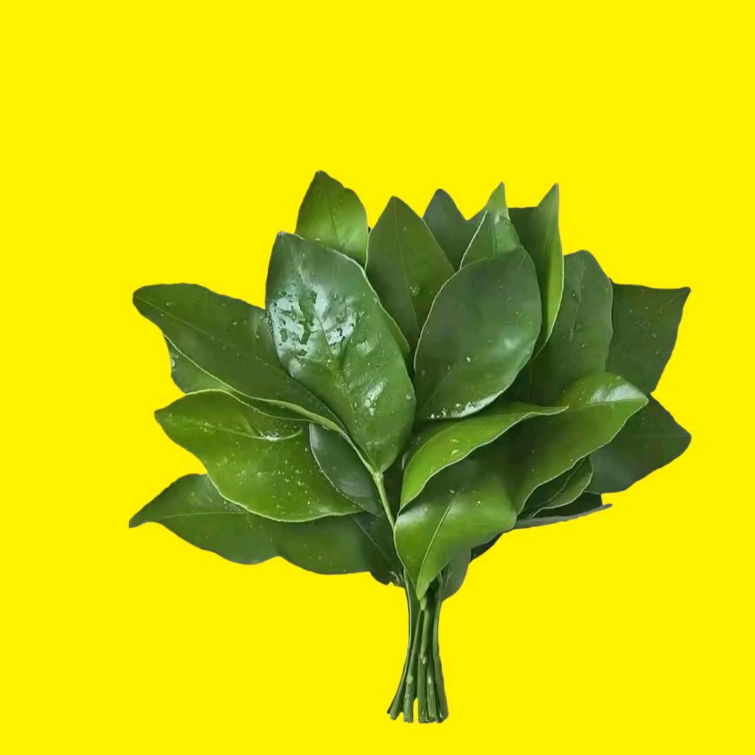 魂