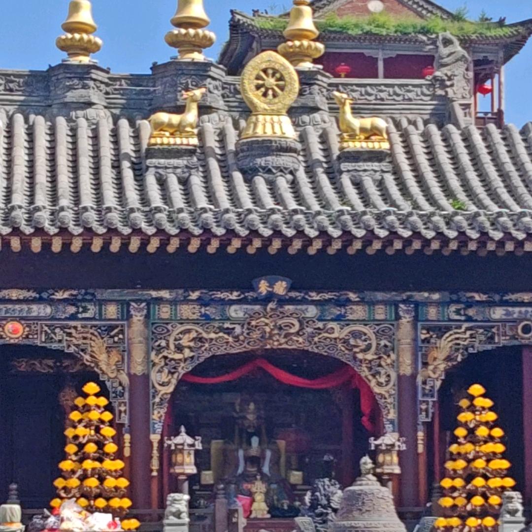 🇨🇳  哥很坏