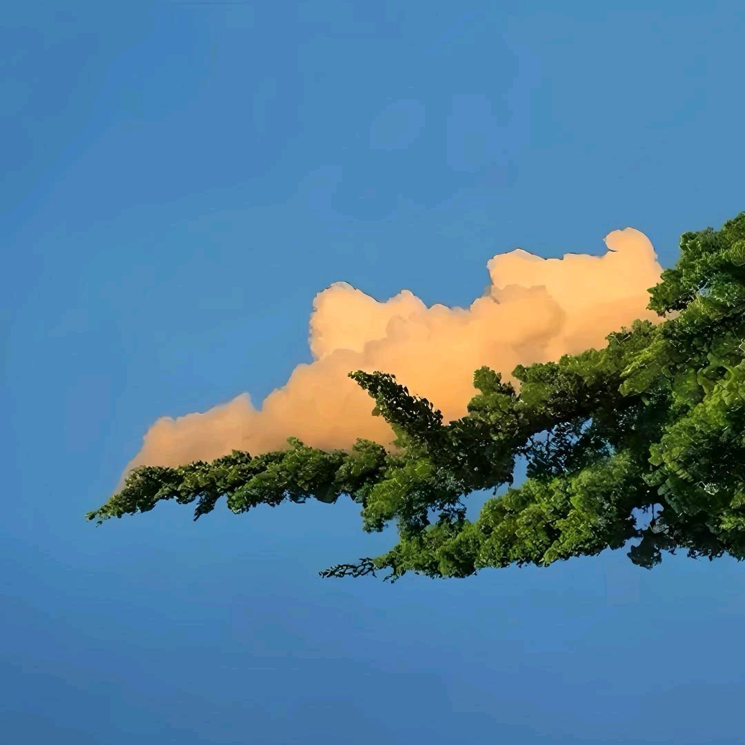 权来