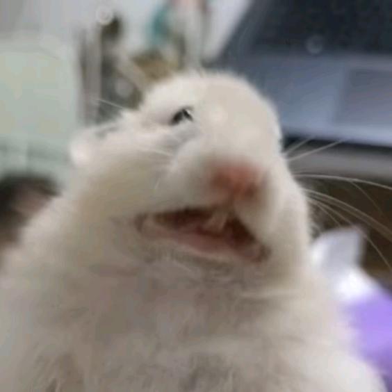 勺子🥄