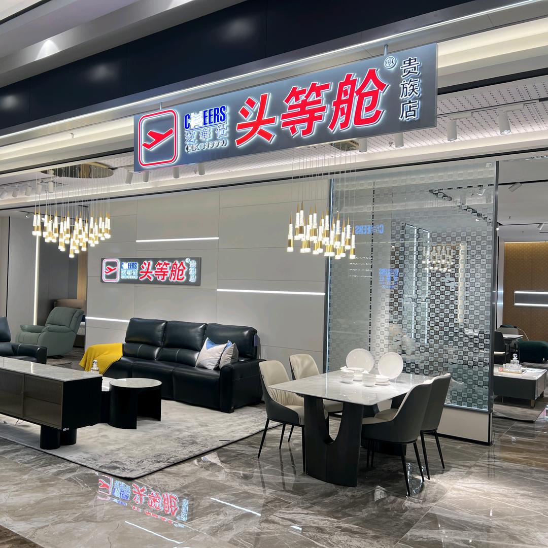 重生之我在阜阳卖沙发