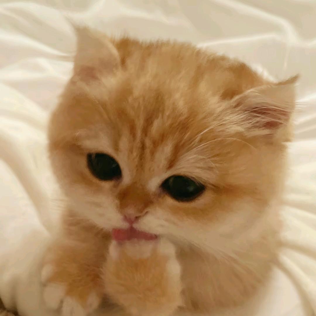 发现男友是gay含泪换上男装和他高几