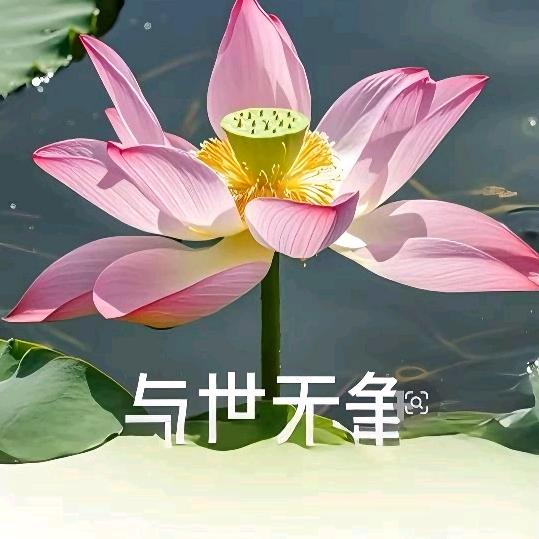 遺憾 😔