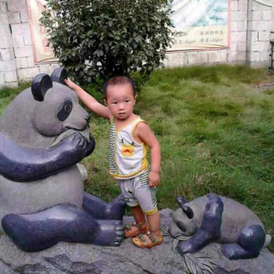 我是小狗