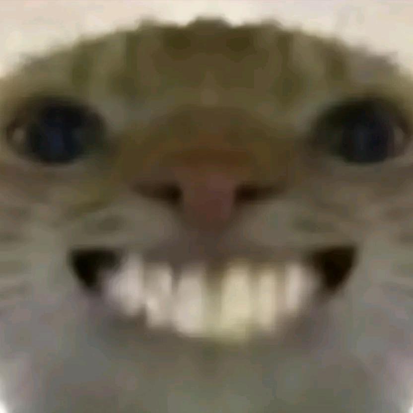 蒂尔