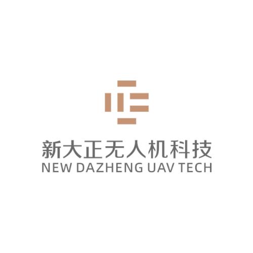 重庆新大正低空经济[老王]