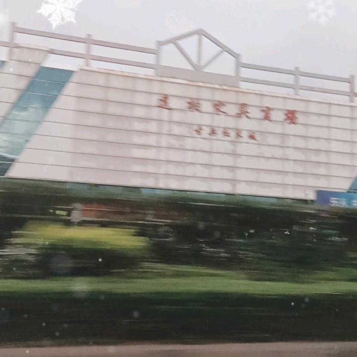 、跑车牛马的一天