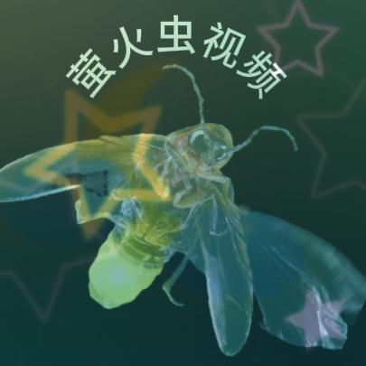 猪八戒搞笑视频