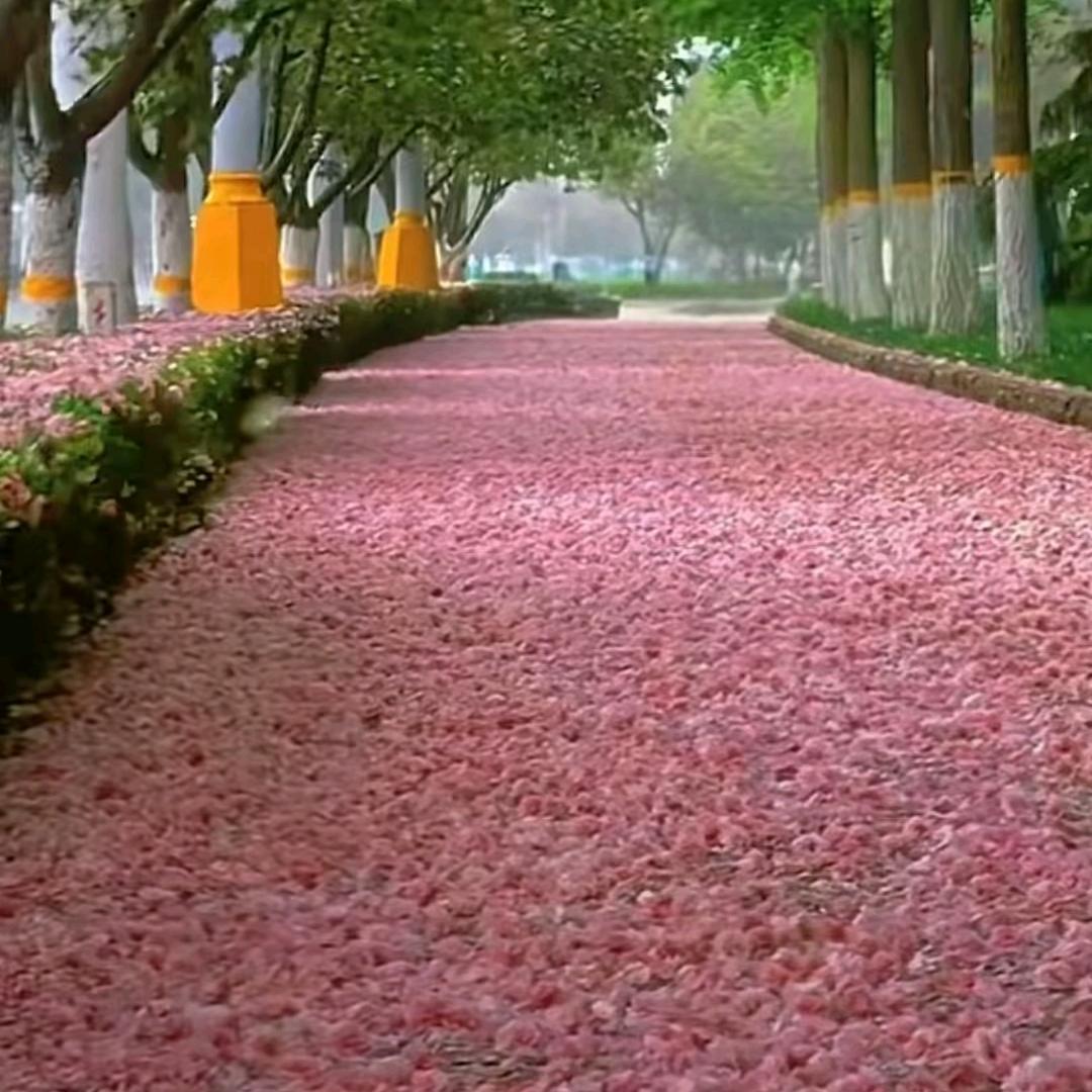 小代