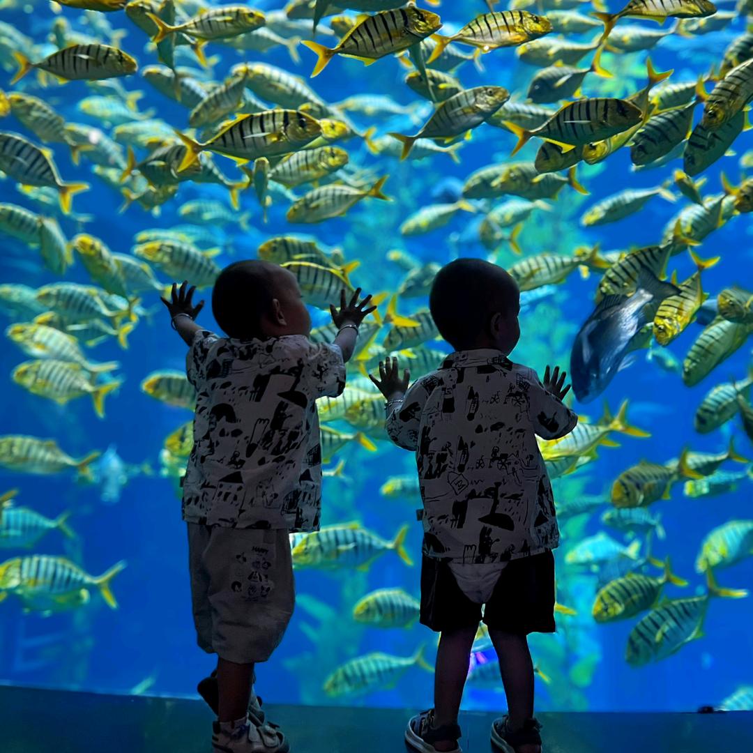 罗针农贸市场周百福珠宝