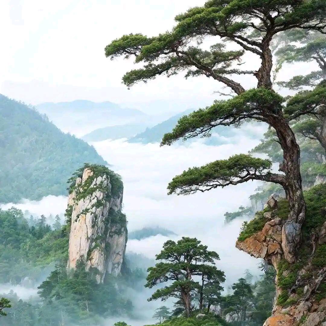 壹对壹-严生