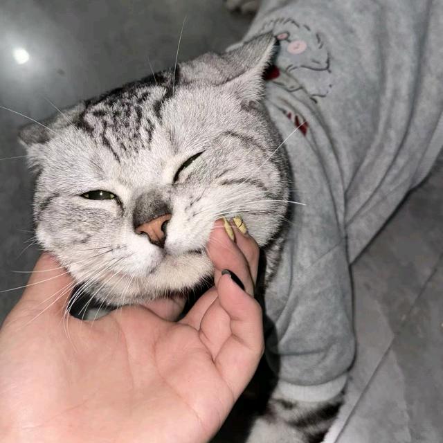 森井