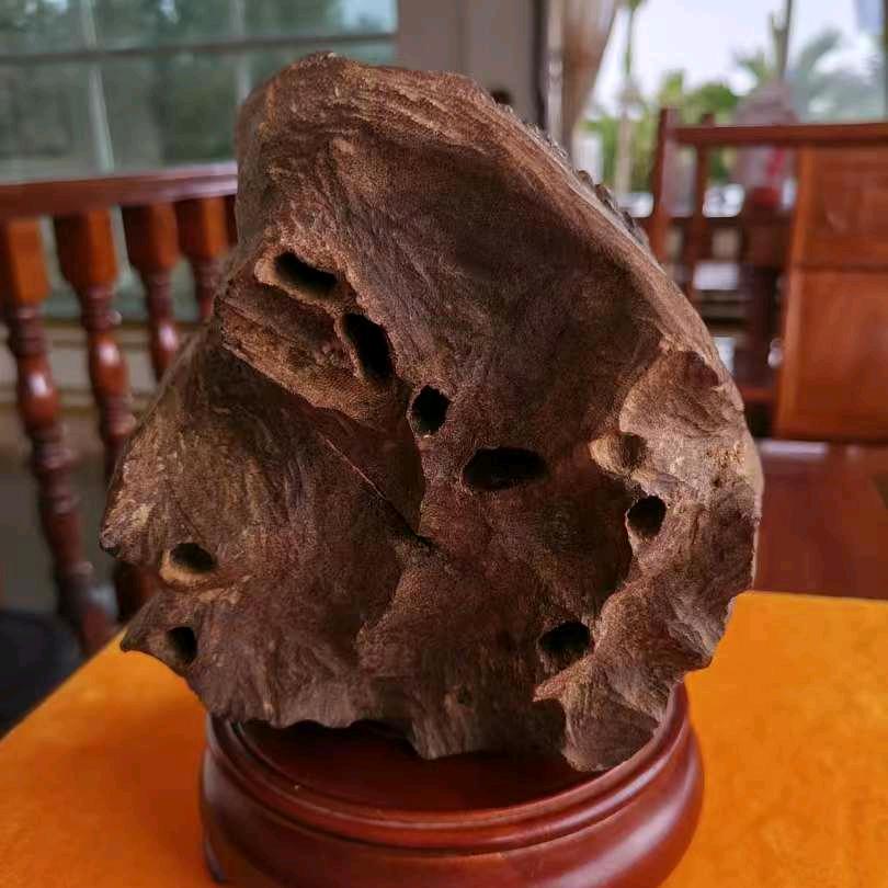 开星哥