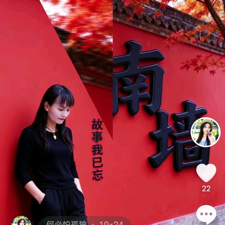 何必怕孤独