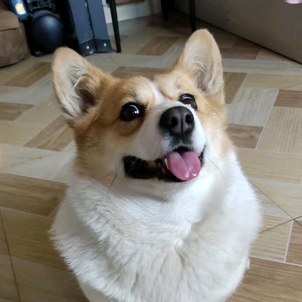 小棉袄