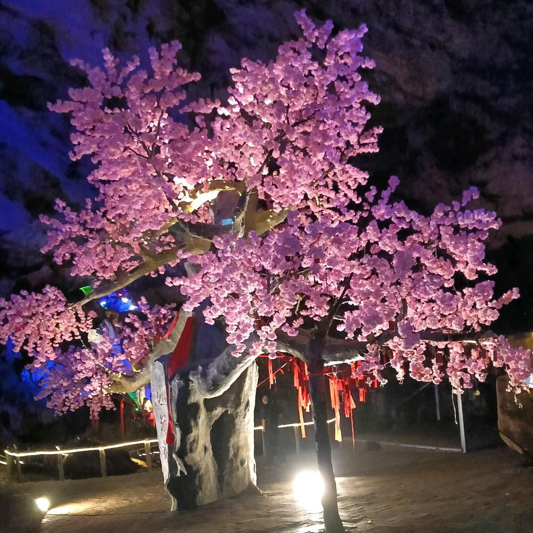 任金艳