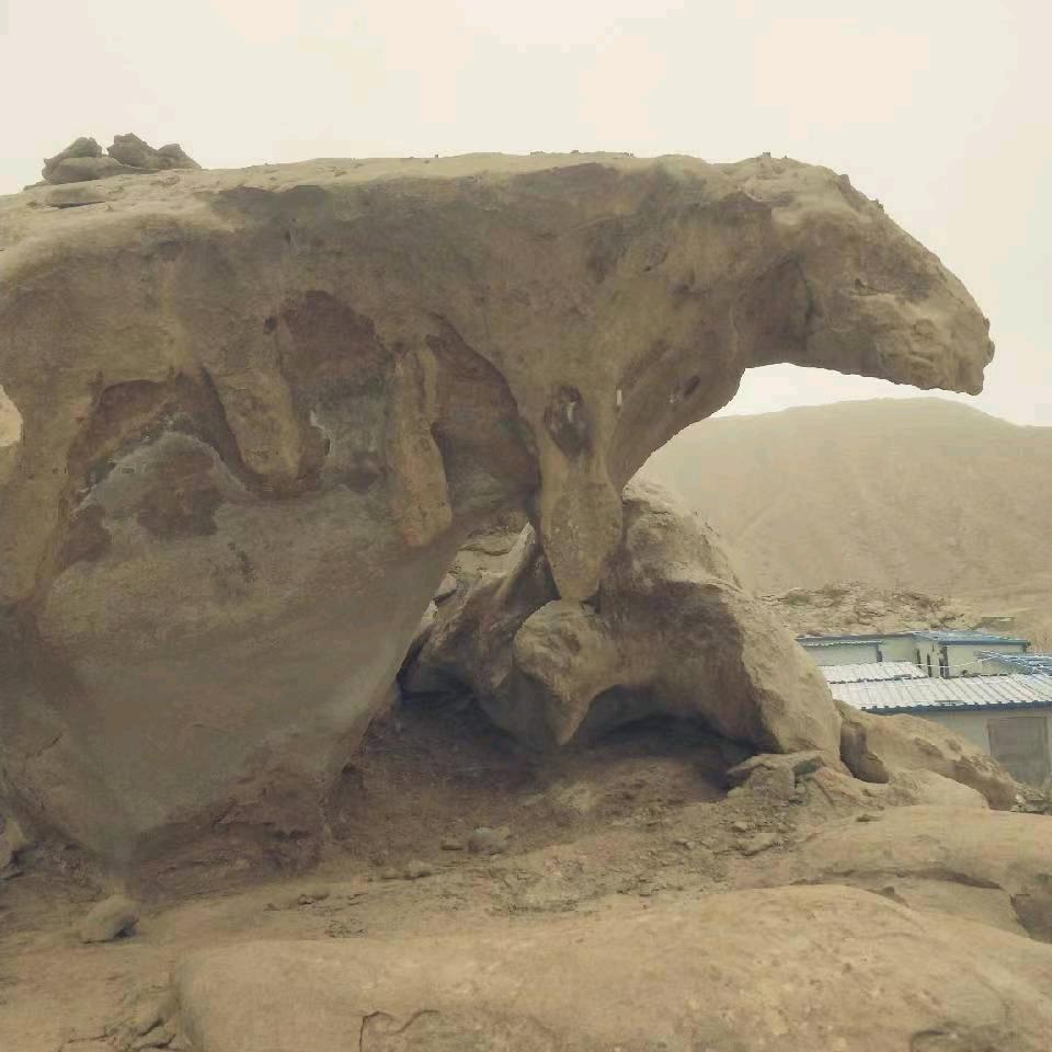 敷衍自己