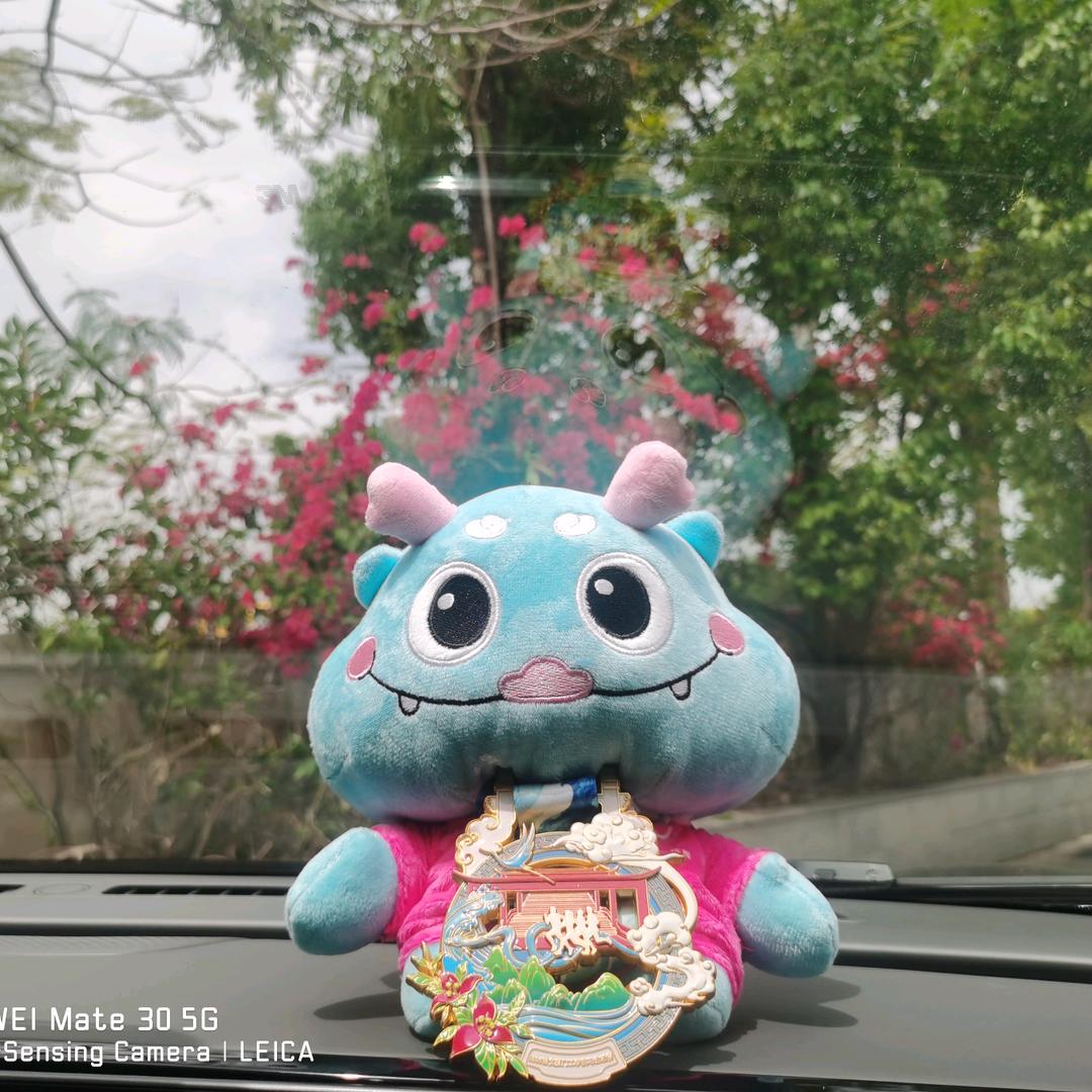胖胖的🐈