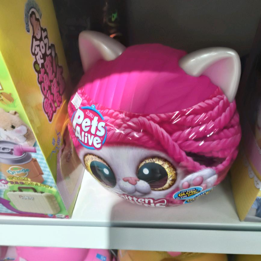 两个孩子的宝妈