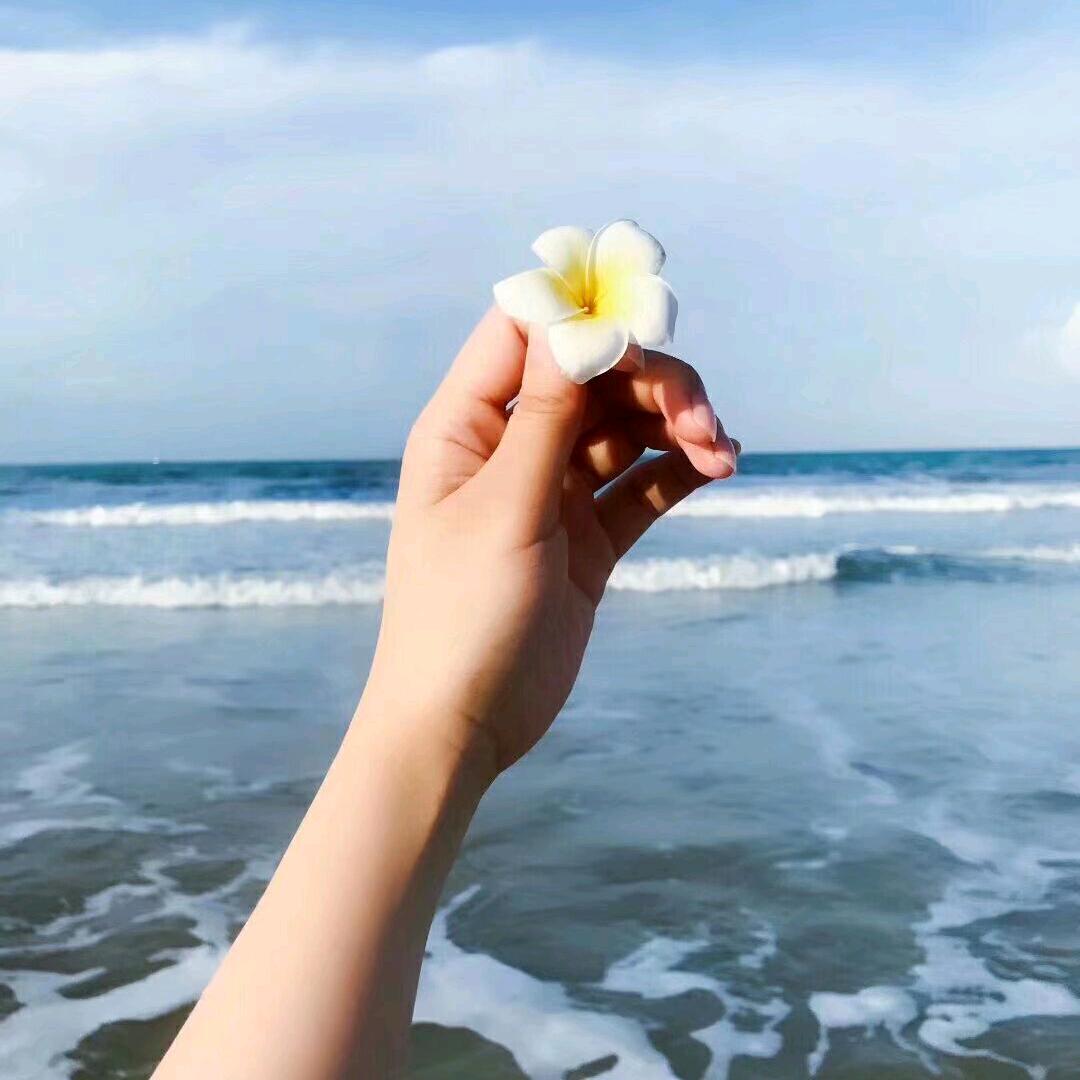 用户名74767363头像