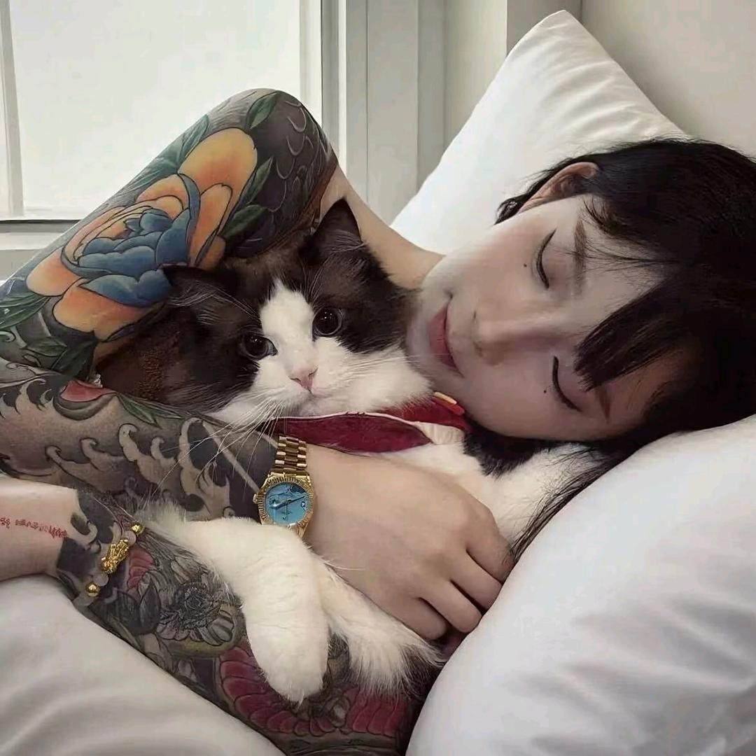 爱蝶蝶
