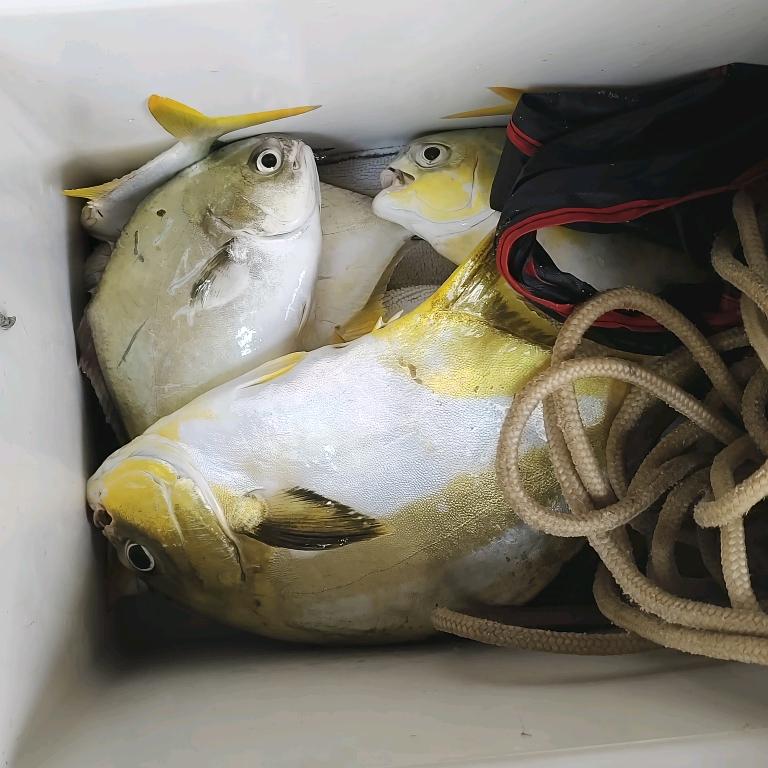 小王，海钓日记