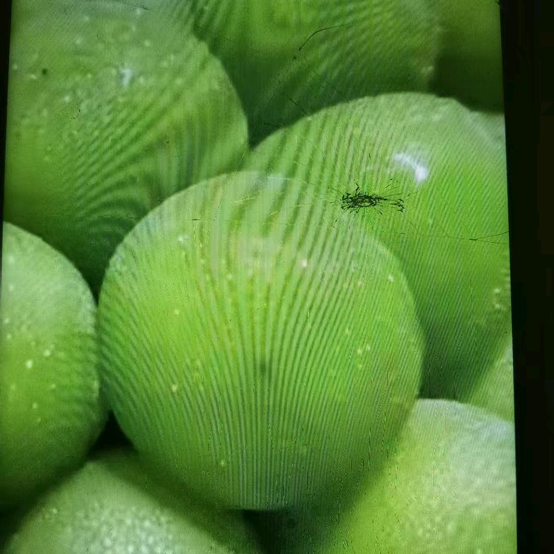 中林水果百货店