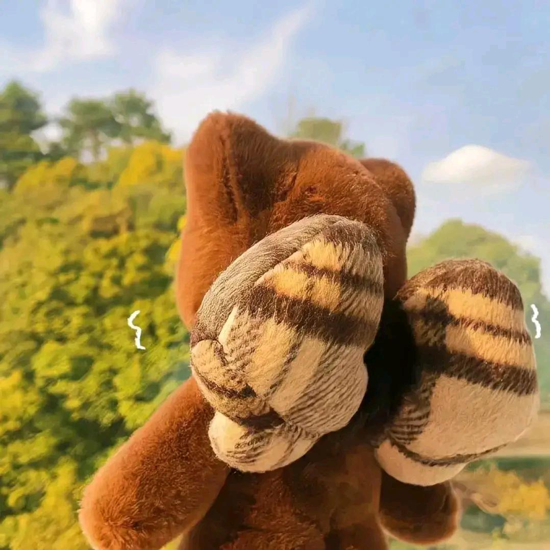 潮姐每天穿搭分享