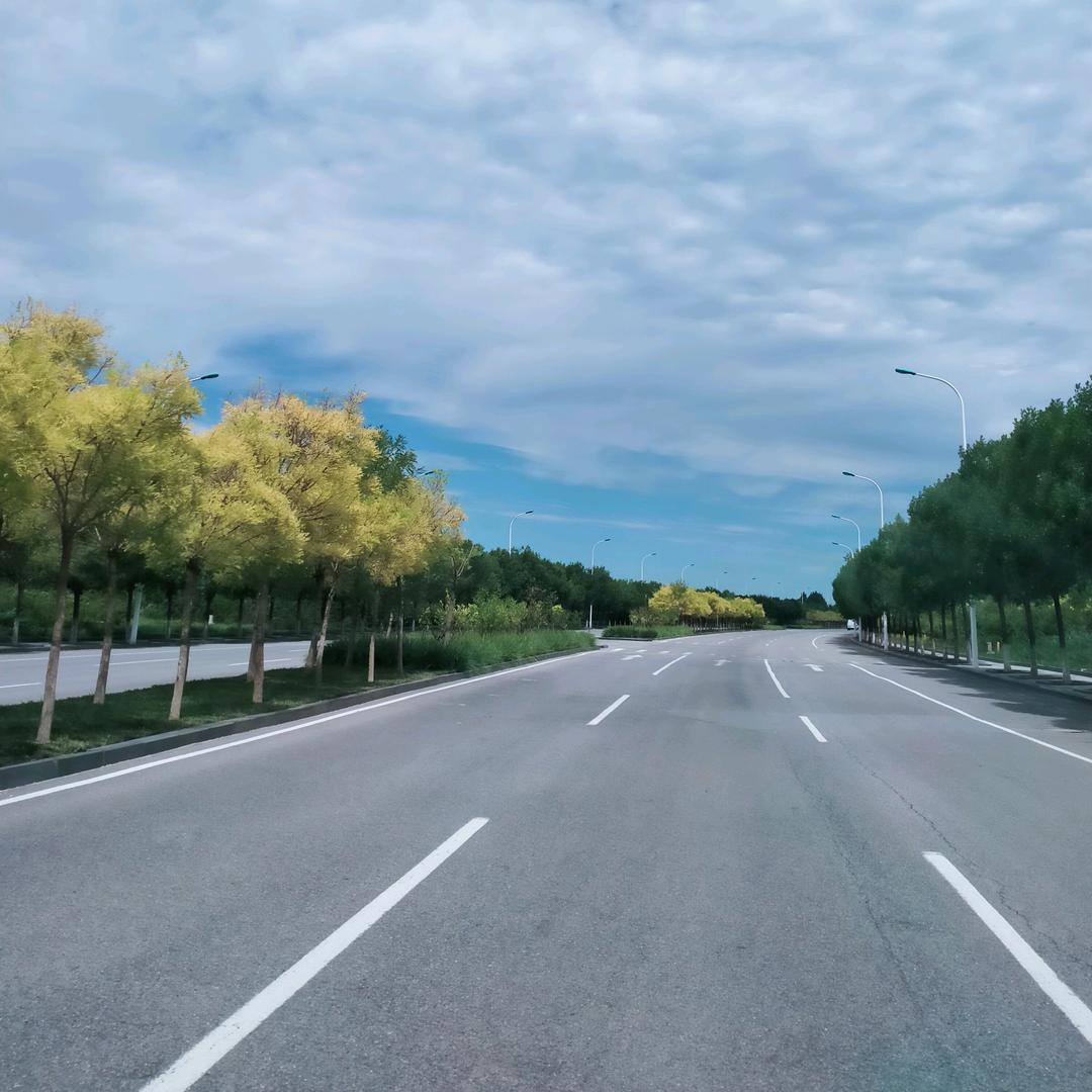 栋栋日记